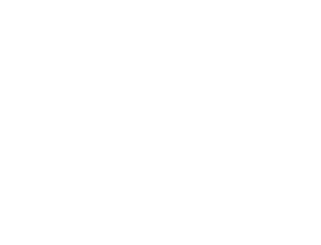Terrus